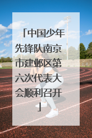 中国少年先锋队南京市建邺区第六次代表大会顺利召开