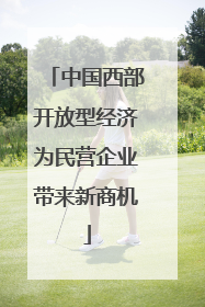 中国西部开放型经济为民营企业带来新商机