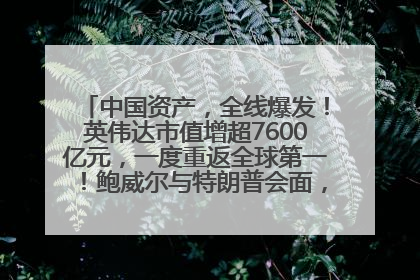 中国资产，全线爆发！英伟达市值增超7600亿元，一度重返全球第一！鲍威尔与特朗普会面，他们聊了什么？