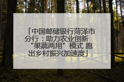 中国邮储银行菏泽市分行：助力农业创新 “果蔬两用”模式 跑出乡村振兴加速度