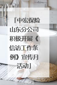 中宏保险山东分公司积极开展《信访工作条例》宣传月活动