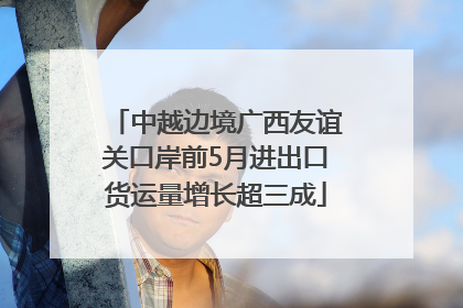 中越边境广西友谊关口岸前5月进出口货运量增长超三成