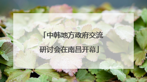 中韩地方政府交流研讨会在南昌开幕