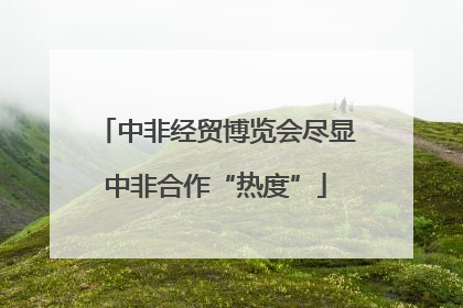中非经贸博览会尽显中非合作“热度”