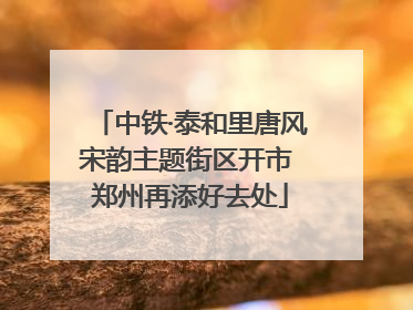 中铁·泰和里唐风宋韵主题街区开市 郑州再添好去处
