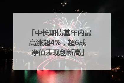 中长期债基年内最高涨超4%，超6成净值表现创新高
