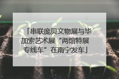 串联庞贝文物展与毕加索艺术展“两馆特展专线车”在南宁发车