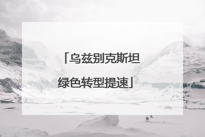 乌兹别克斯坦绿色转型提速