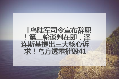 乌陆军司令宣布辞职！第二轮谈判在即，泽连斯基提出三大核心诉求！乌方透露摧毁41架俄战略轰炸机
