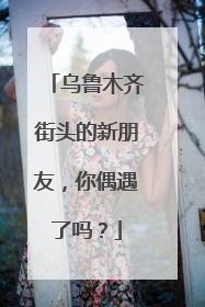乌鲁木齐街头的新朋友，你偶遇了吗？