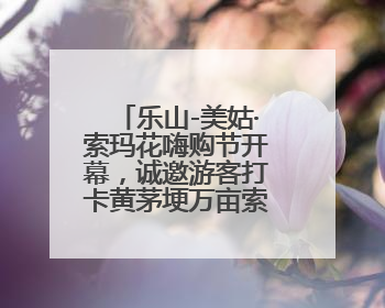 乐山-美姑·索玛花嗨购节开幕，诚邀游客打卡黄茅埂万亩索玛花海