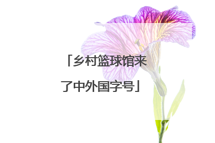 乡村篮球馆来了中外国字号