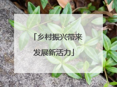 乡村振兴带来发展新活力