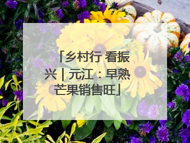 乡村行 看振兴｜元江：早熟芒果销售旺