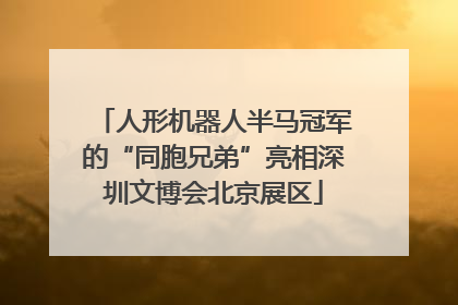 人形机器人半马冠军的“同胞兄弟”亮相深圳文博会北京展区
