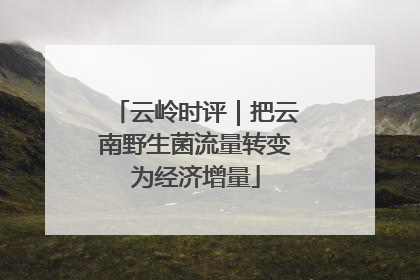 云岭时评｜把云南野生菌流量转变为经济增量