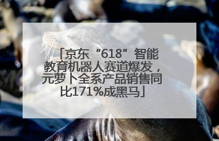 京东“618”智能教育机器人赛道爆发，元萝卜全系产品销售同比171%成黑马