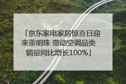 京东家电家居惊喜日迎来董明珠 带动空调品类销量同比增长100%