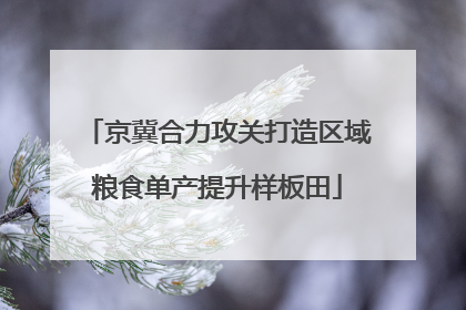 京冀合力攻关打造区域粮食单产提升样板田
