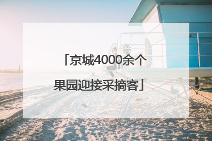 京城4000余个果园迎接采摘客