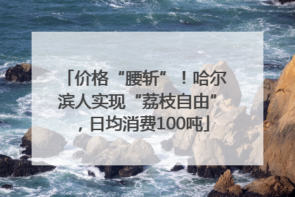 价格“腰斩”！哈尔滨人实现“荔枝自由”，日均消费100吨