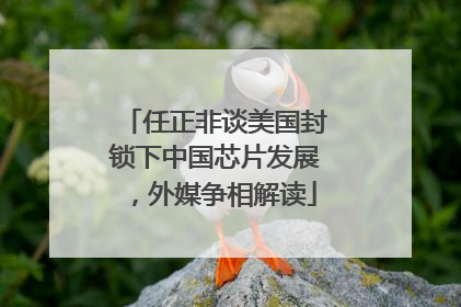 任正非谈美国封锁下中国芯片发展，外媒争相解读