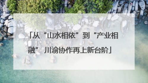 从“山水相依”到“产业相融” 川渝协作再上新台阶