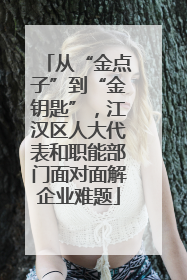 从“金点子”到“金钥匙”，江汉区人大代表和职能部门面对面解企业难题