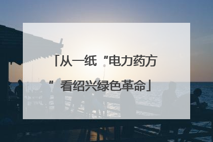 从一纸“电力药方”看绍兴绿色革命
