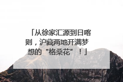 从徐家汇源到日喀则，沪藏两地开满梦想的“格桑花”！