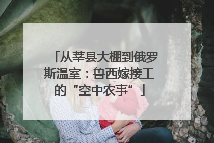 从莘县大棚到俄罗斯温室：鲁西嫁接工的“空中农事”