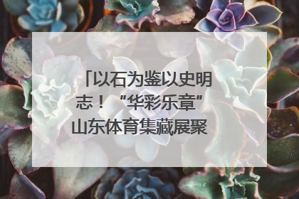 以石为鉴以史明志！“华彩乐章”山东体育集藏展聚焦“岱石丹心”
