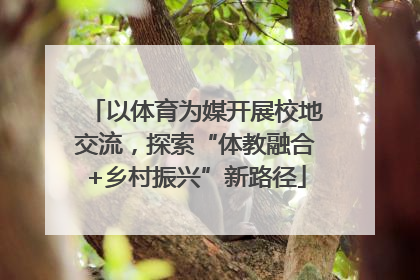 以体育为媒开展校地交流，探索“体教融合+乡村振兴”新路径