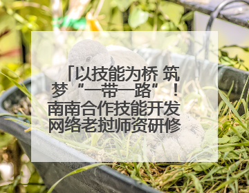 以技能为桥 筑梦“一带一路”！南南合作技能开发网络老挝师资研修班开班仪式暨技能梦工坊签约仪式举行