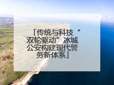 传统与科技“双轮驱动”冰城公安构建现代警务新体系