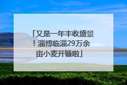 又是一年丰收盛景！淄博临淄29万余亩小麦开镰啦