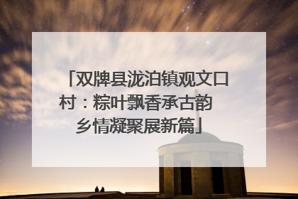 双牌县泷泊镇观文口村：粽叶飘香承古韵 乡情凝聚展新篇