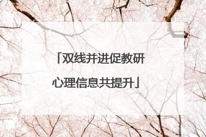 双线并进促教研 心理信息共提升