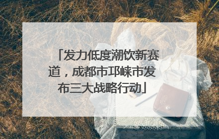 发力低度潮饮新赛道，成都市邛崃市发布三大战略行动