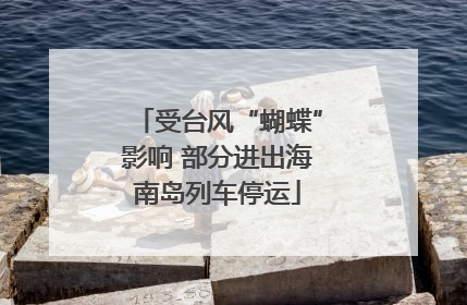受台风“蝴蝶”影响 部分进出海南岛列车停运