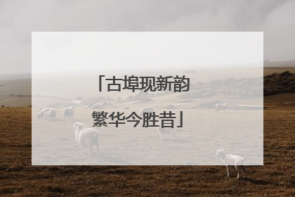 古埠现新韵 繁华今胜昔