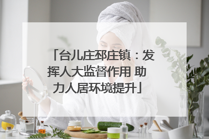 台儿庄邳庄镇：发挥人大监督作用 助力人居环境提升
