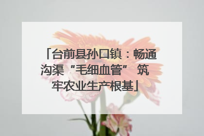 台前县孙口镇：畅通沟渠“毛细血管” 筑牢农业生产根基