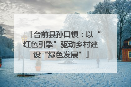 台前县孙口镇：以“红色引擎”驱动乡村建设“绿色发展”
