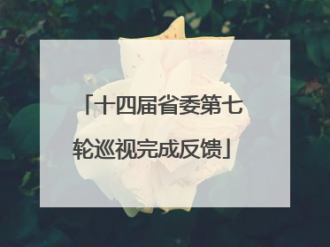 十四届省委第七轮巡视完成反馈
