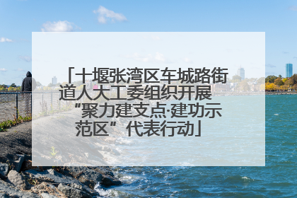 十堰张湾区车城路街道人大工委组织开展 “聚力建支点·建功示范区”代表行动