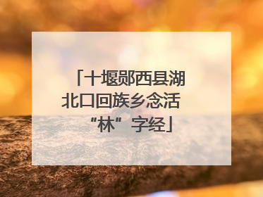 十堰郧西县湖北口回族乡念活“林”字经