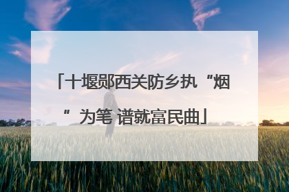 十堰郧西关防乡执“烟”为笔 谱就富民曲