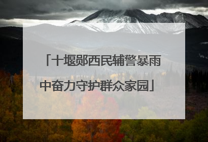十堰郧西民辅警暴雨中奋力守护群众家园