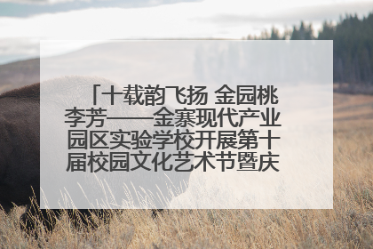 十载韵飞扬 金园桃李芳——金寨现代产业园区实验学校开展第十届校园文化艺术节暨庆“六一”系列活动